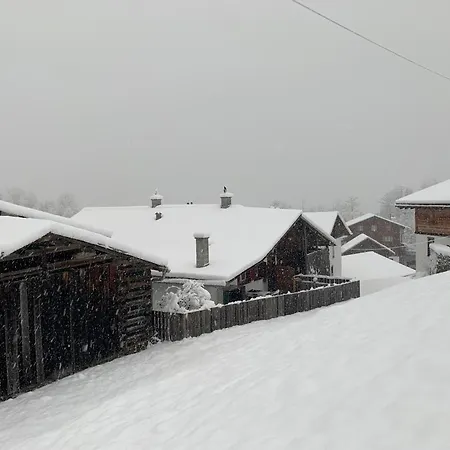 Casa Da Tini 3 Appartement *